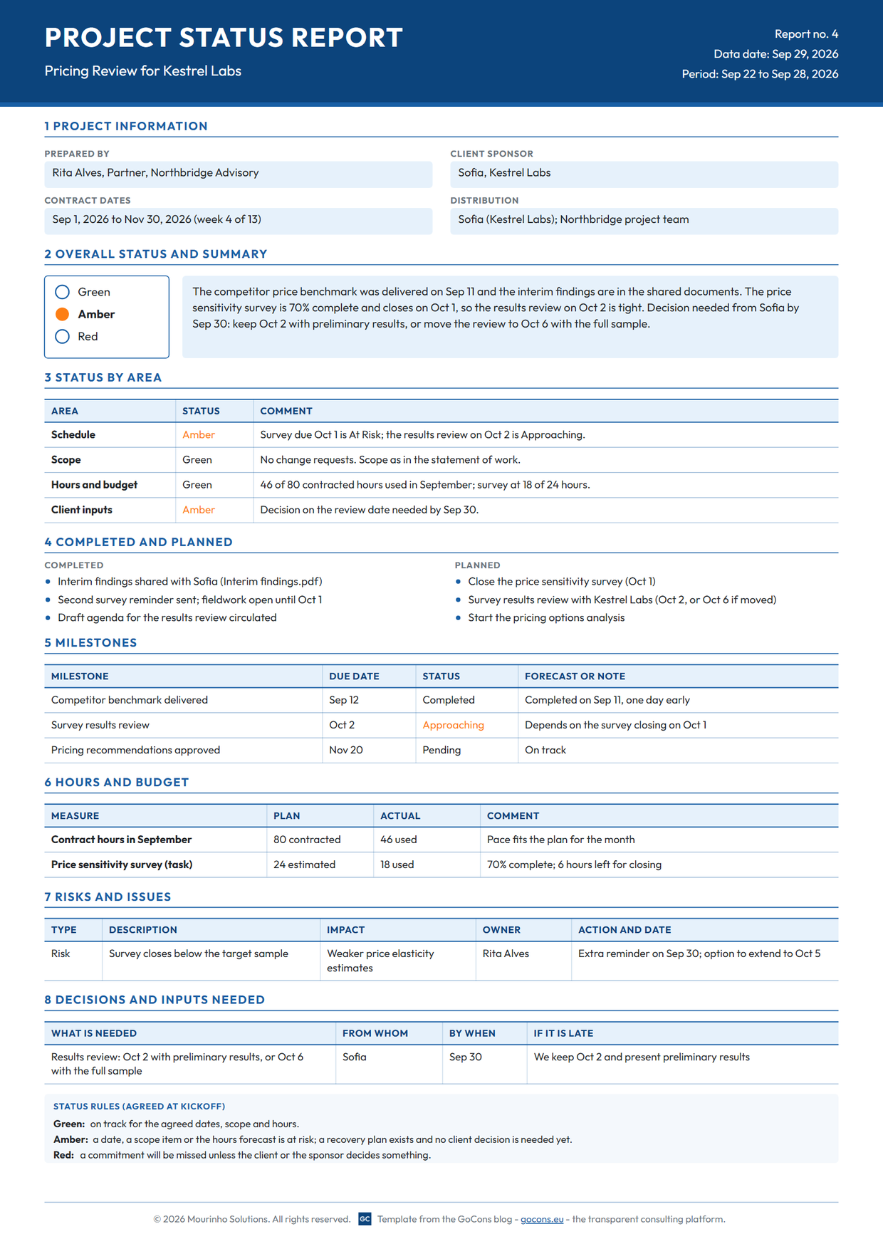 Project status report example for a fictional pricing review, with an Amber overall status, milestones, hours and one decision for the client