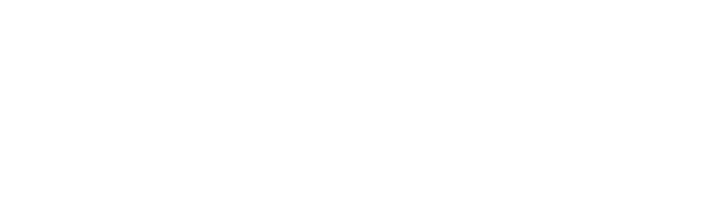 Vertix AI